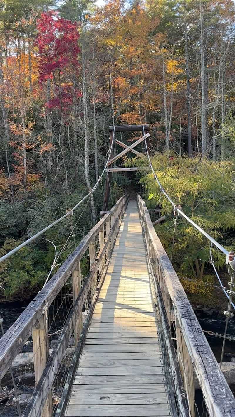 This Is Where You'll Find Georgia's Longest Swinging Bridge Hanging Suspended Over A Pristine River - Decor Hint Easy Access Without a Long Backcountry Commitment