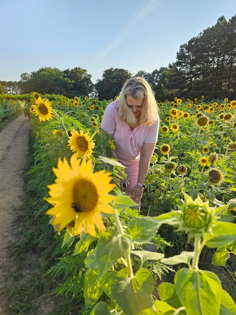Pollinator Paradise In Action