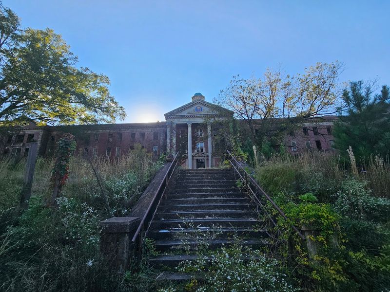 Deinstitutionalization and the Slow Decline