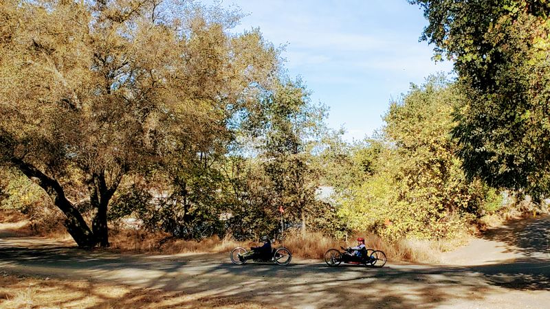 Wildlife Viewing Opportunities