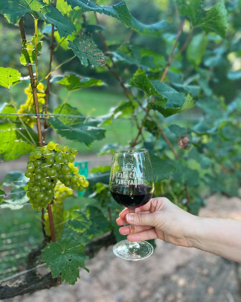 This Georgia Vineyard Turns A Simple Glass Of Wine Into A Moment - Decor Hint Educational Wine Tours And Tastings