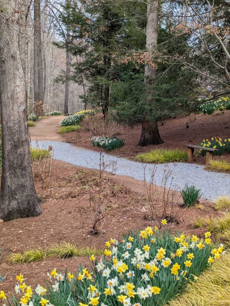 Winding Paths Through Golden Valleys