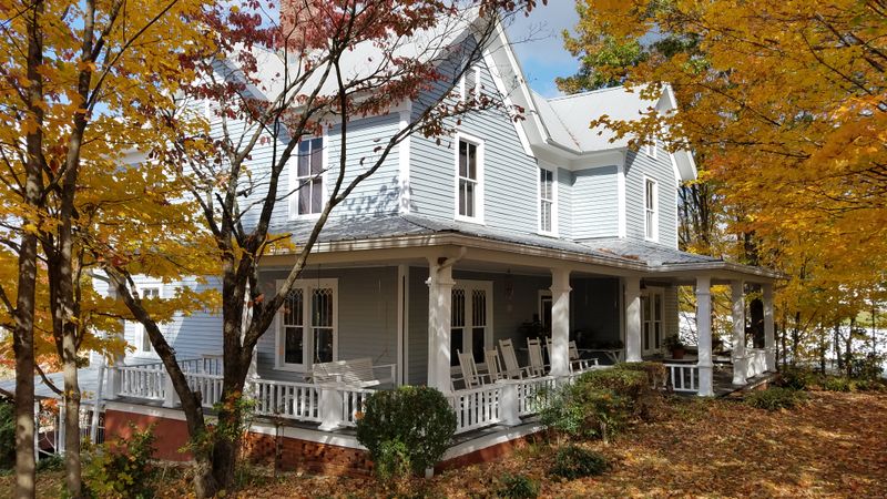 Movie Memorabilia from Elvis's Hollywood Films