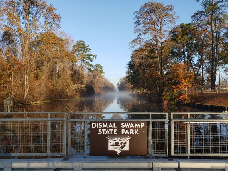 Dismal Swamp State Park, South Mills