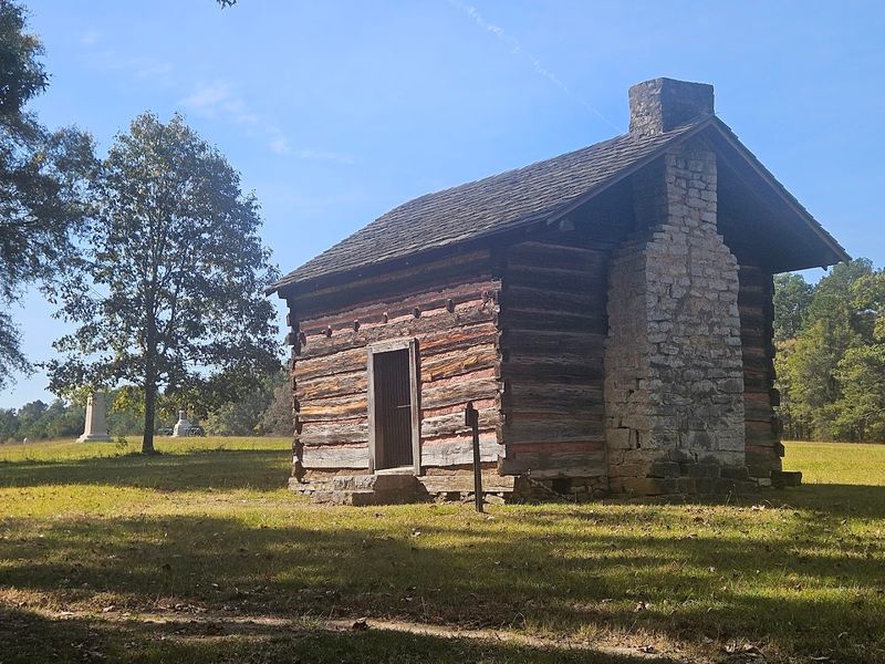 White-Tailed Deer Now Wander This Georgia Park Where Civil War Battles Were Once Held - Decor Hint Classroom-Quality Educational Resources
