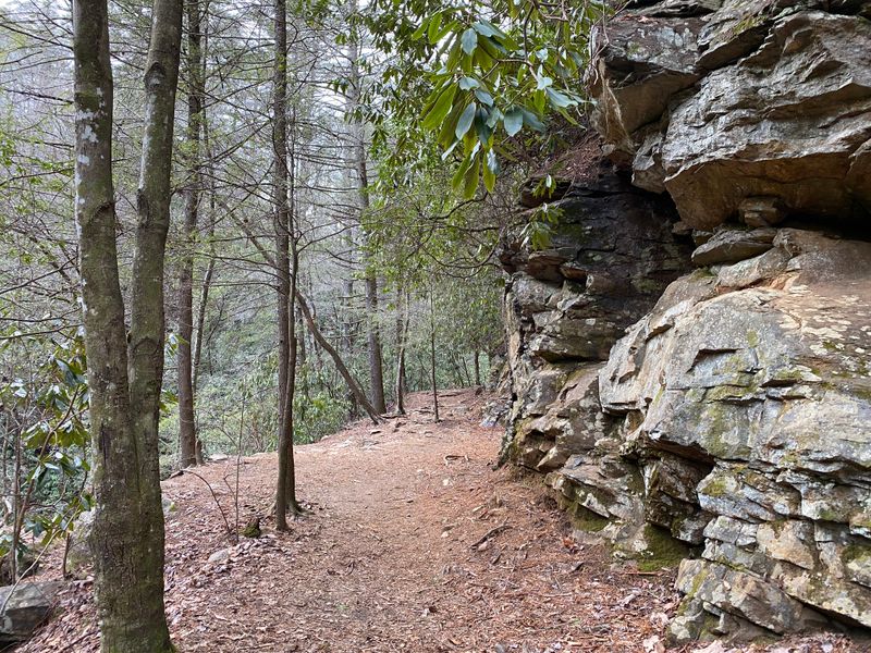 The Nearby Town of Helen Adds German Charm to Your Trip