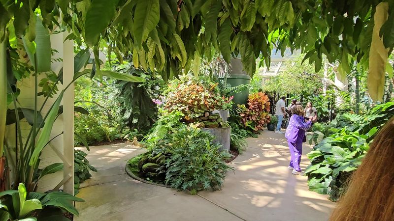 Conservation Efforts Worth Getting Behind