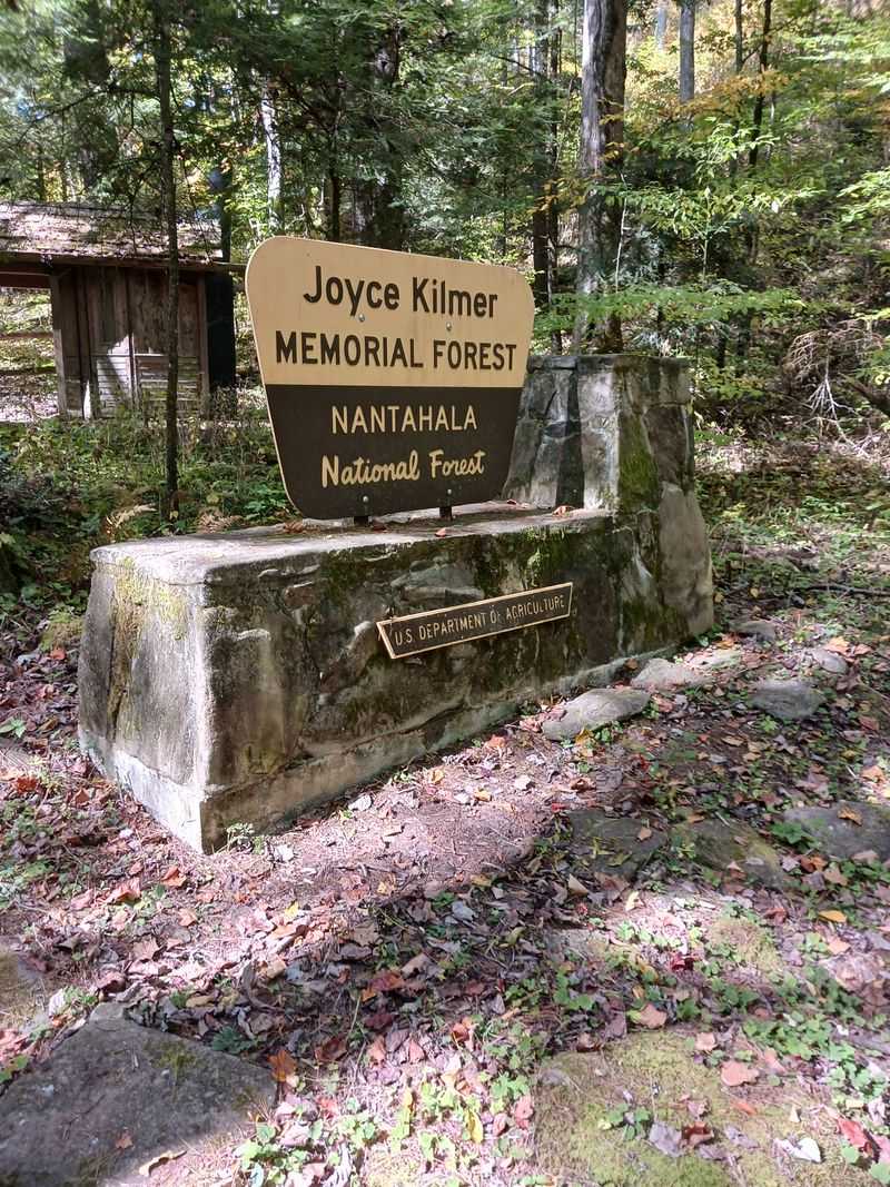 Accessible Features And Visitor Amenities