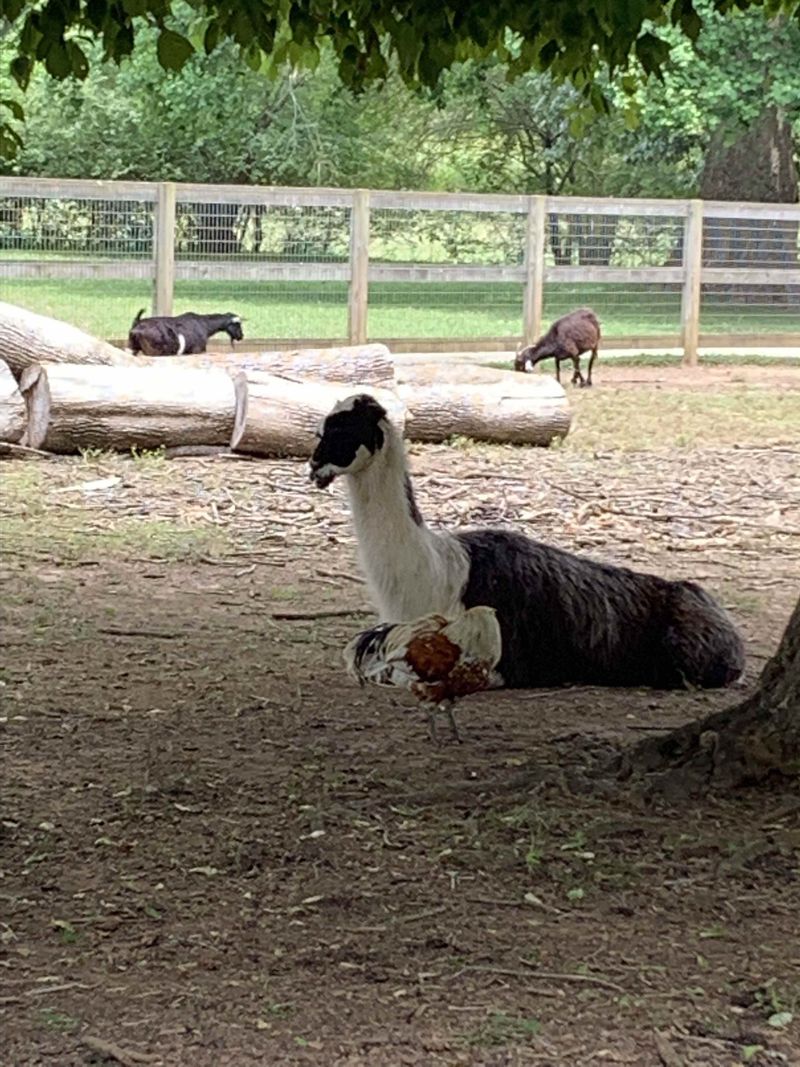 Special Events Throughout The Year