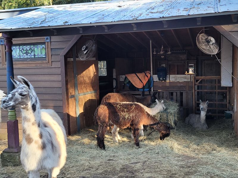 Peaceful Escape From Urban Stress