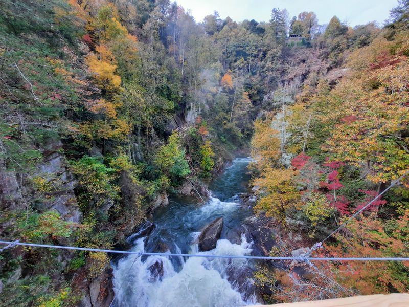 Picnic Areas and Facilities