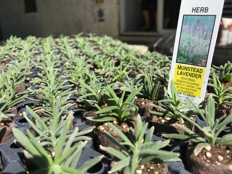 The Charming Shop Filled With Handcrafted Treasures