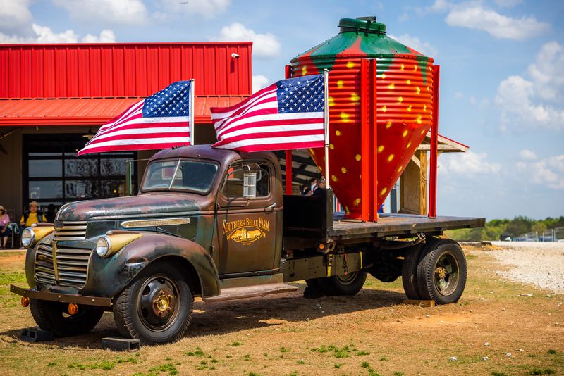 Pick Your Own Georgia Peaches & Experience Farm Life At This 330-Acre Farmland In McDonough - Decor Hint U-Pick Peach Orchards
