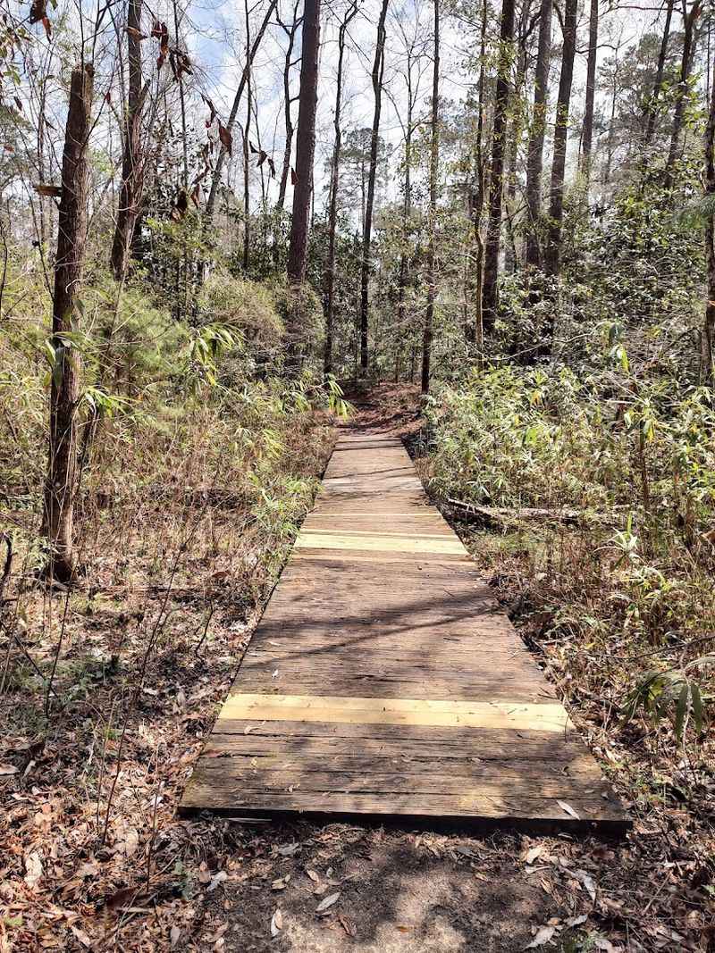 This Massive Earthen Mound in Georgia Holds the Secrets of a Long-Vanished People - Decor Hint Bird Watching Along the Southern Rivers Birding Trail