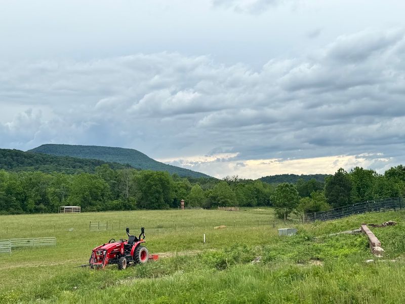 This Authentic Georgia Farm Blessing Creek Farms Georgia Brings Country Living To Life In 2026 - Decor Hint Date Night Experiences