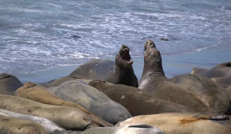 Point Reyes National Seashore
