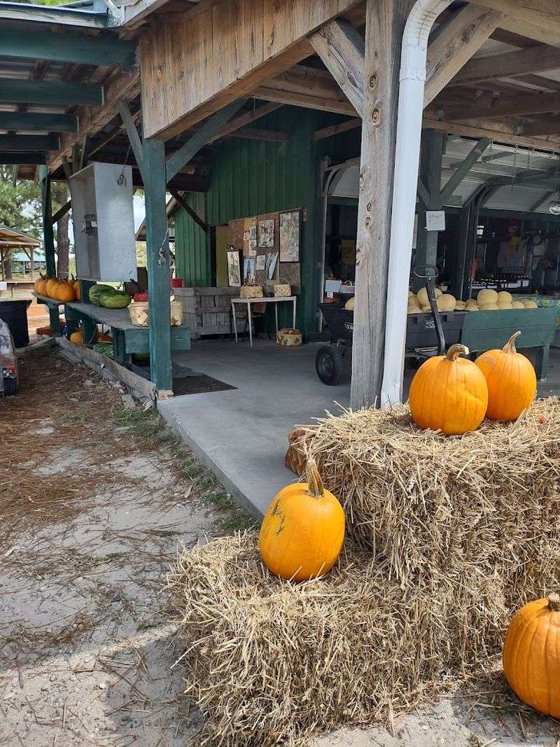 Autumn Brings A Full Festival Experience