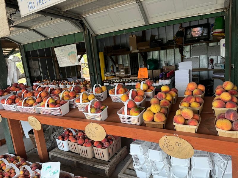 Farm Stand Bursting With Fresh Seasonal Produce