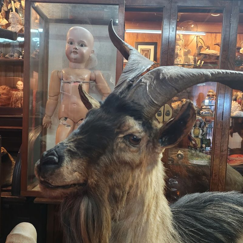 Haunted Object Gallery