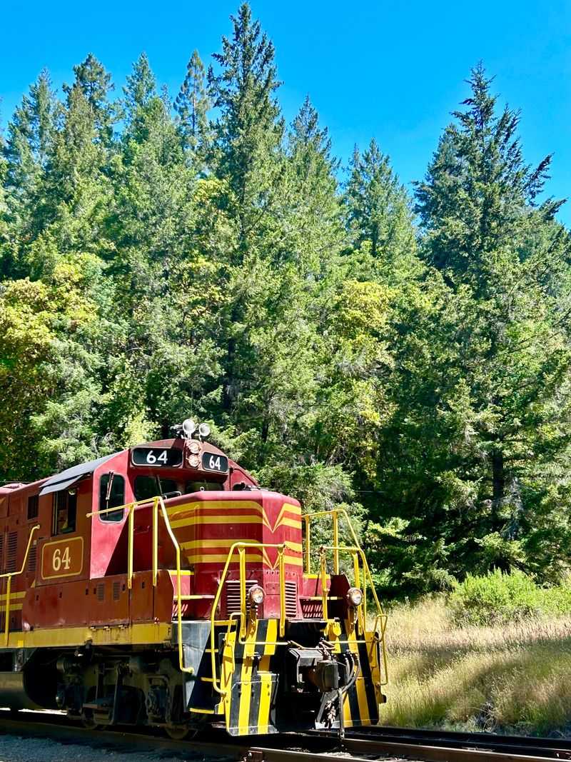 Wildlife Viewing Opportunities Along The Route