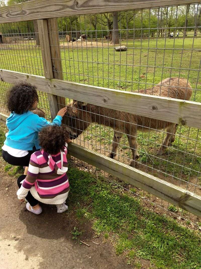 Educational Programs For All Ages