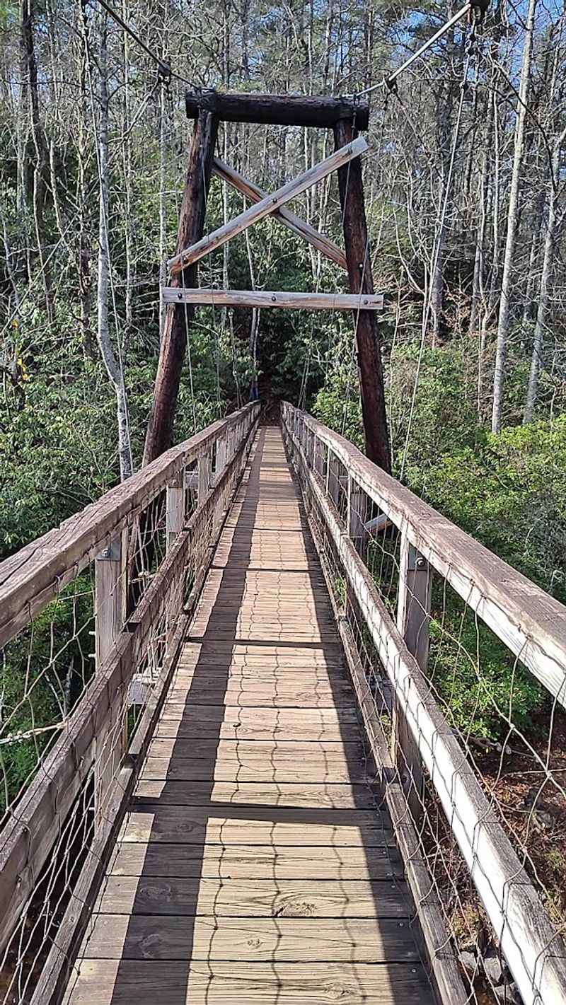 This Is Where You'll Find Georgia's Longest Swinging Bridge Hanging Suspended Over A Pristine River - Decor Hint A Family-Friendly Outing That Kids Actually Love