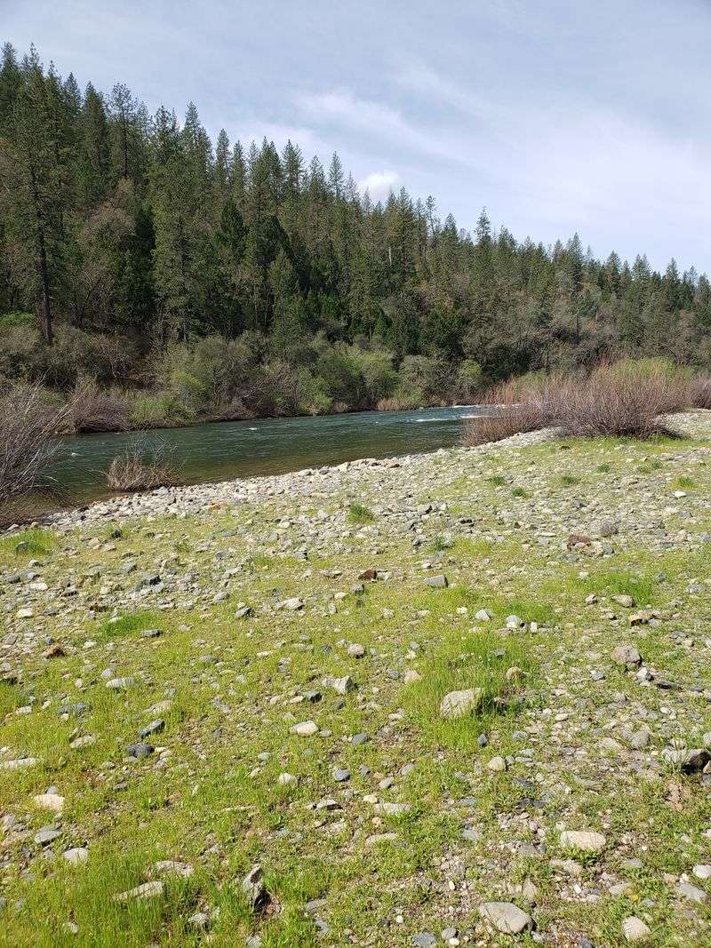 Wings, Fur, And Fins