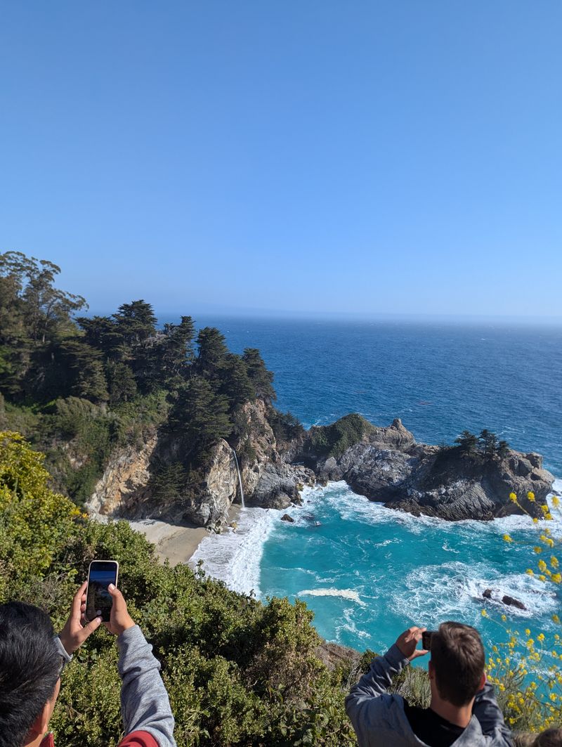 Gray Whale Migration Viewing