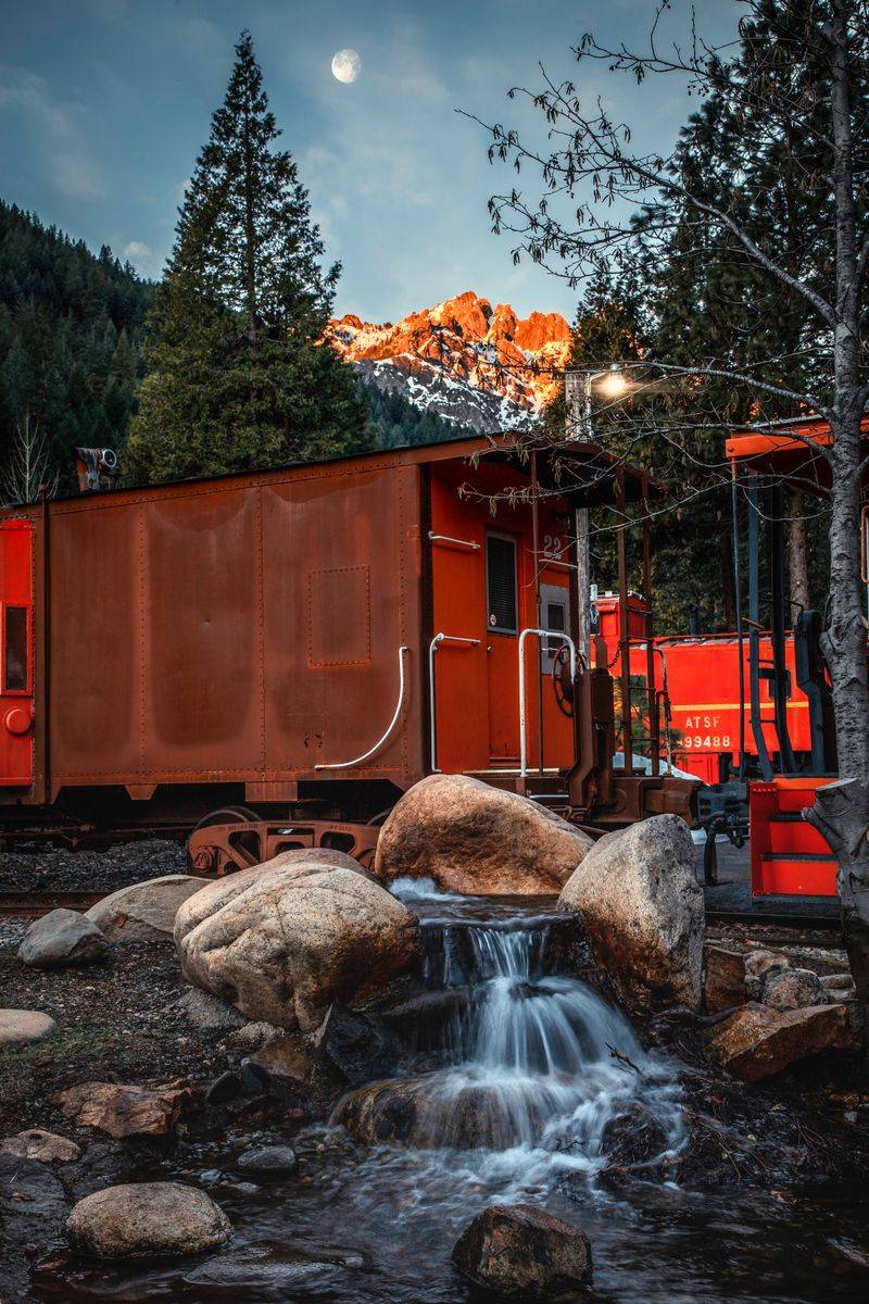 Pet-Friendly Property