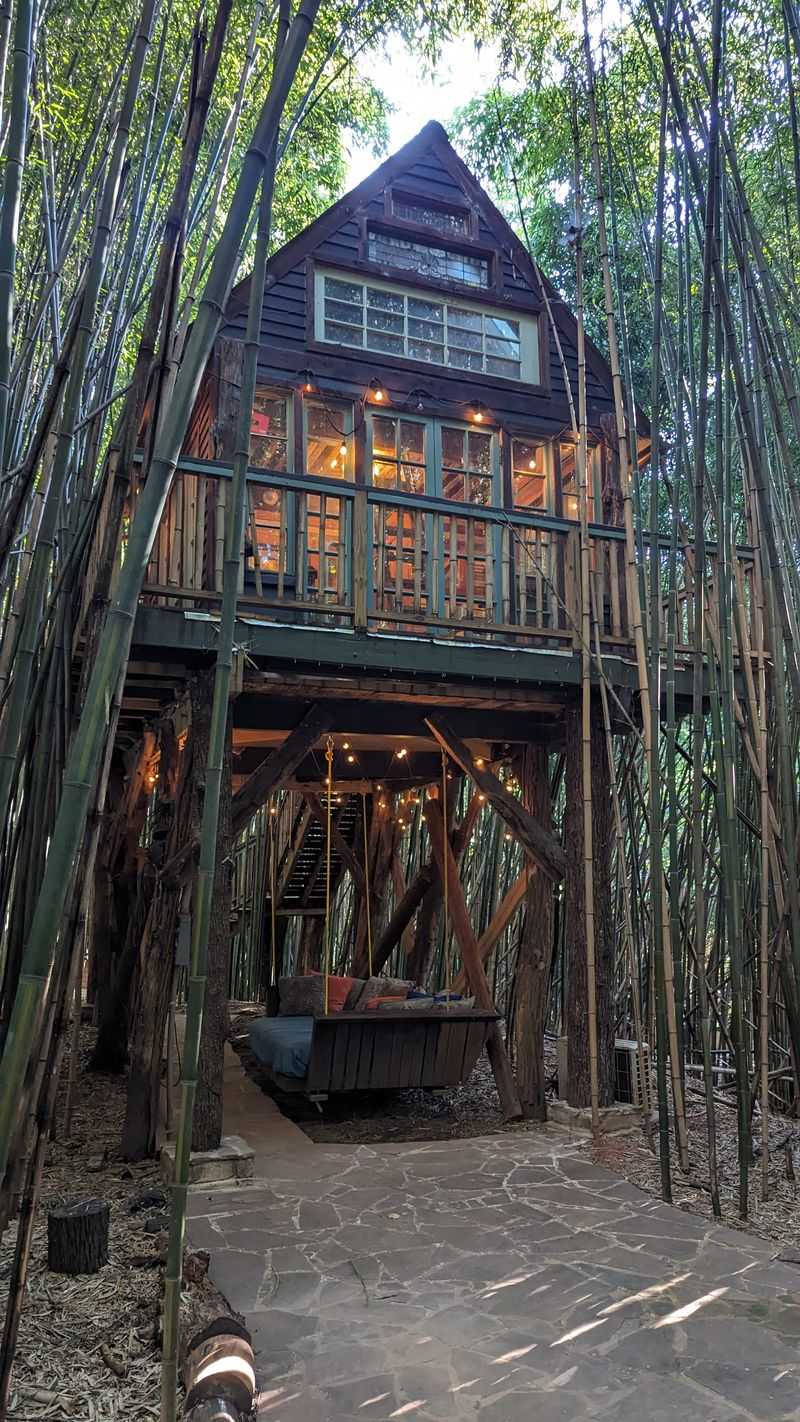 Stargazing From Treetop Elevation