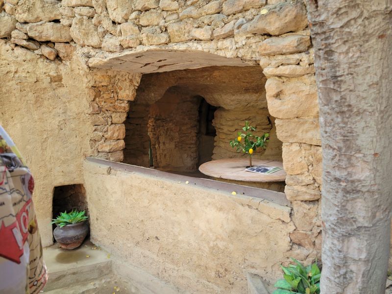 Grafting Techniques And Agricultural Innovation