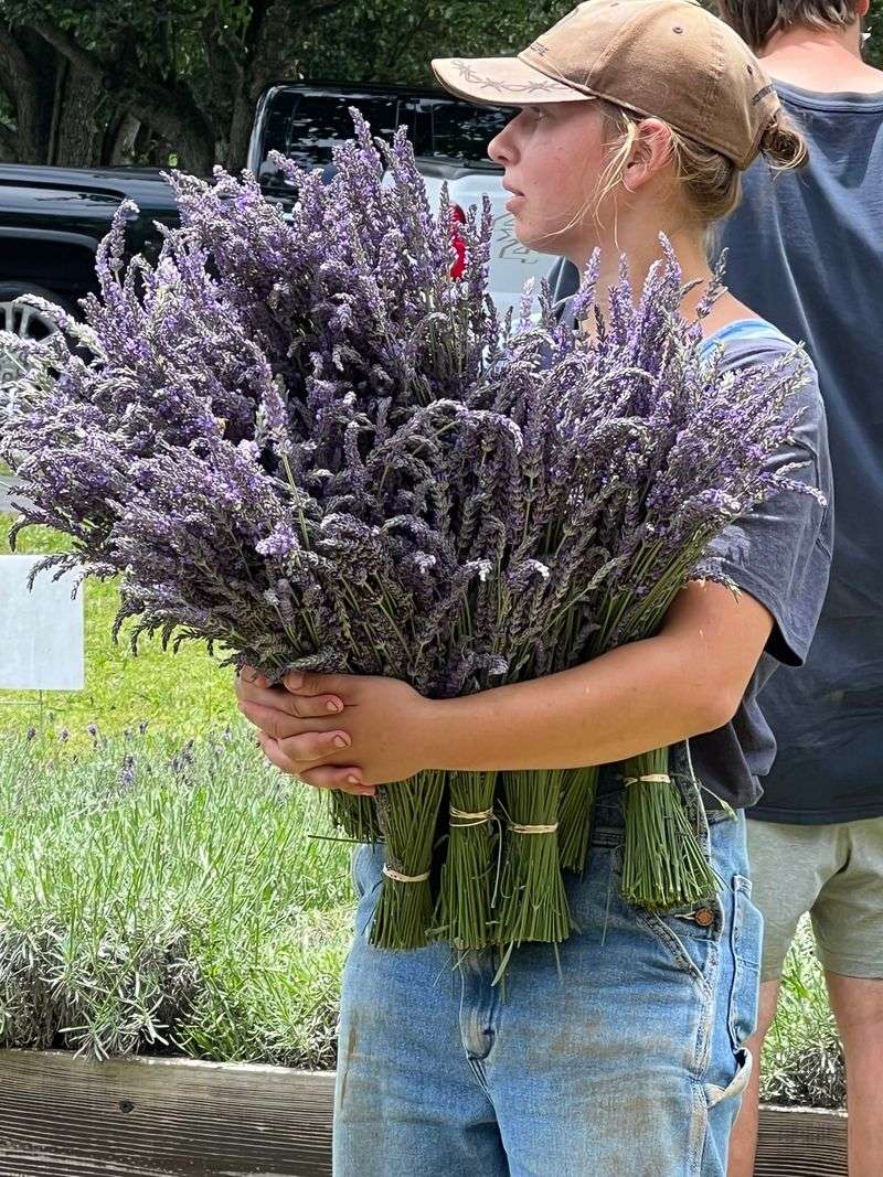 U-Pick Experience Lets You Harvest Your Own