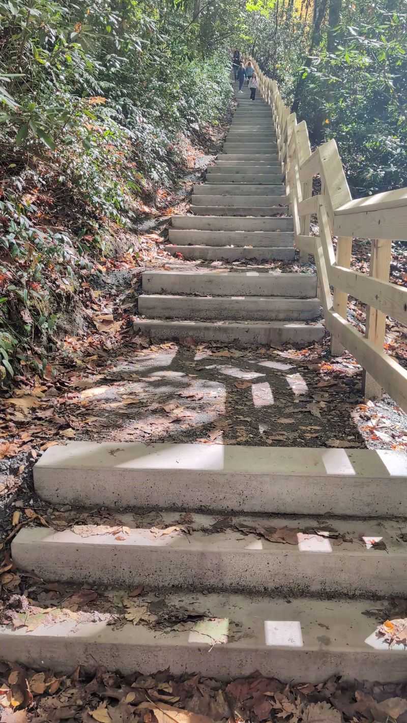 This North Carolina Stairway Trail Turns Into A Spring Wonderland - Decor Hint Seasonal Transformations Beyond Spring