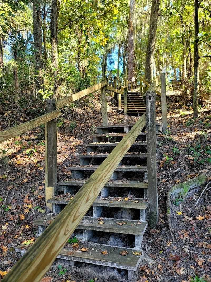 Seasonal Wildflower Displays Along Trails