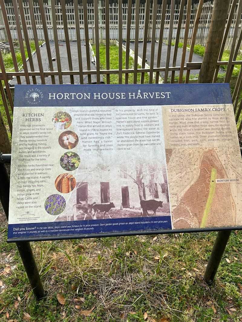 Georgia's First Brewery Connection