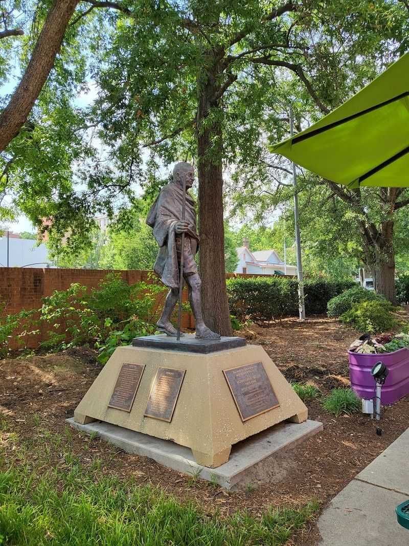 TreeTunes Blends Nature With Musical Discovery