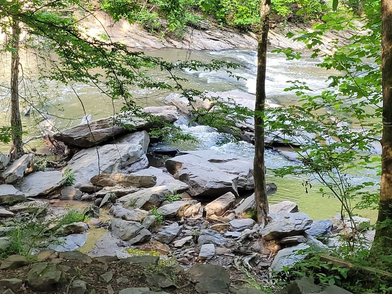 Wildlife You Might Actually See