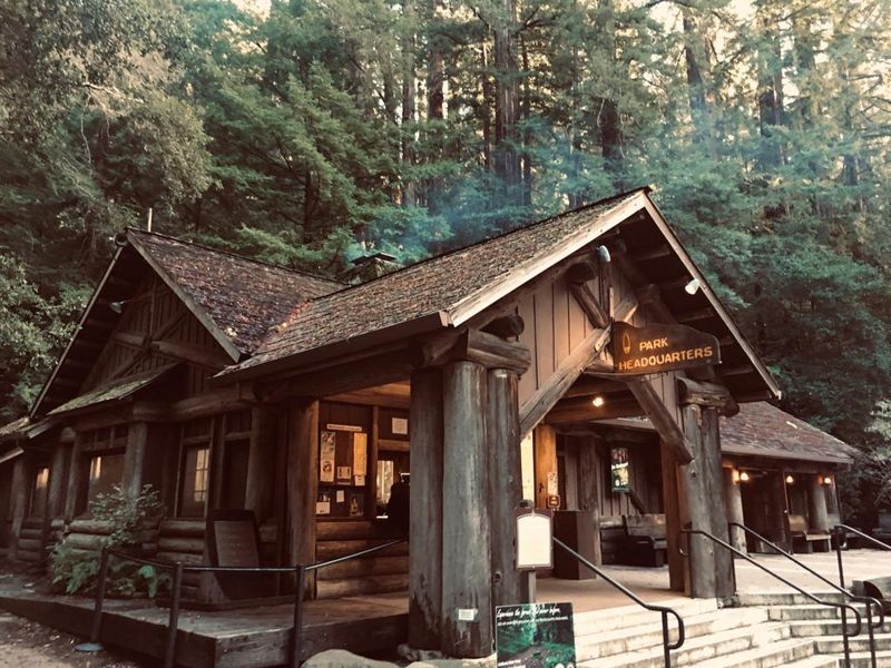 California's Oldest State Park Is Filled With Redwoods That Are Over 1,000 Years Old - Decor Hint Visitor Facilities And Educational Programs