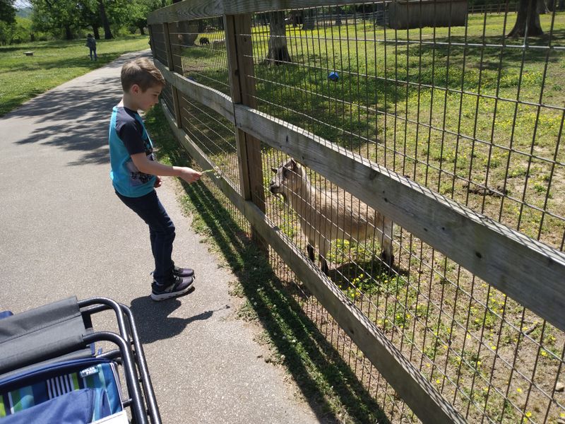 Hands-On Volunteer Opportunities