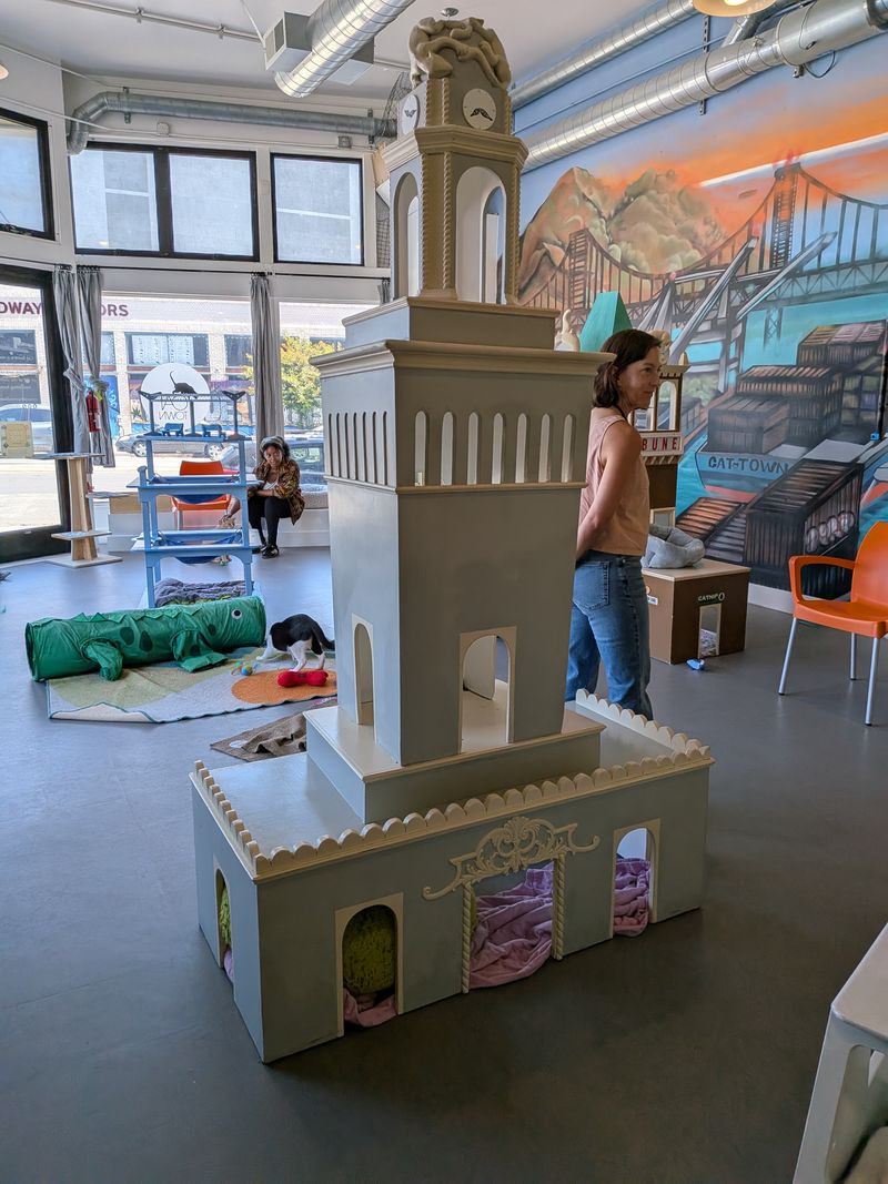 Adoption Applications Can Start Right In The Lounge