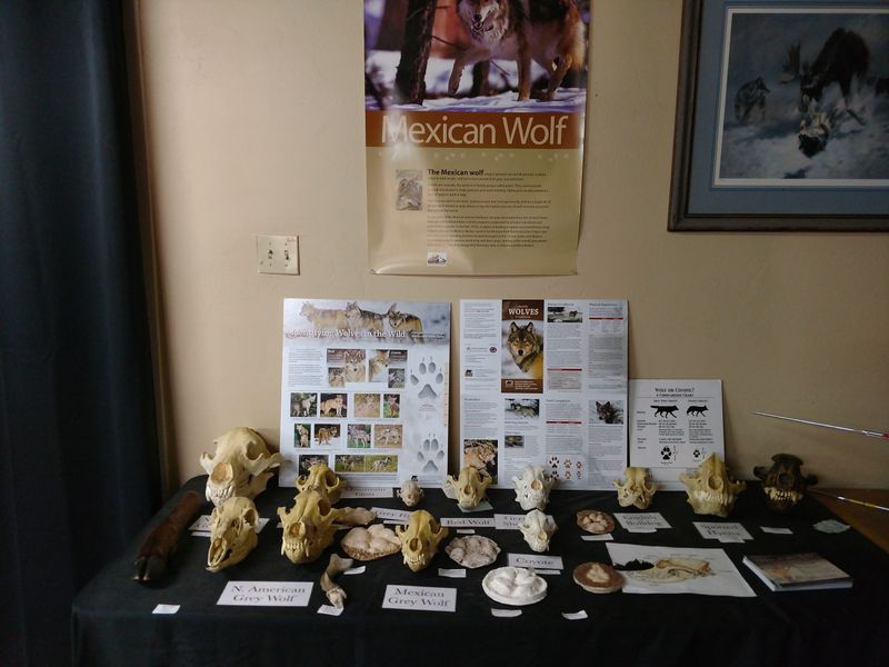 Downtown Julian Visitor Center And Nature Store