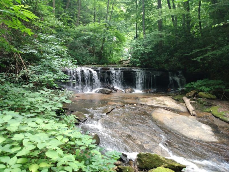 Pearson's Falls, Saluda