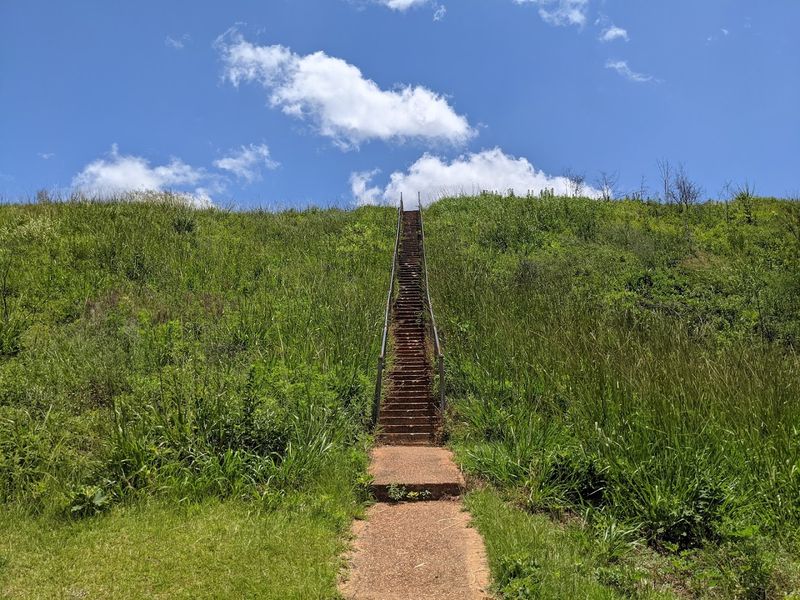 This Massive Earthen Mound in Georgia Holds the Secrets of a Long-Vanished People - Decor Hint Mound A Climb With Panoramic Views Worth Every Step