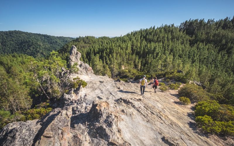 California's Oldest State Park Is Filled With Redwoods That Are Over 1,000 Years Old - Decor Hint Trees Reaching Heights Over 300 Feet Tall