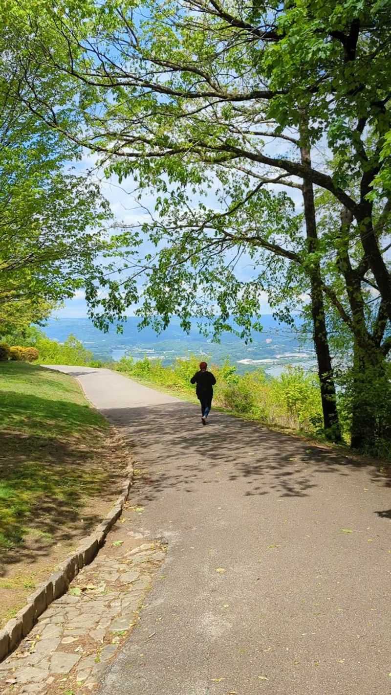 White-Tailed Deer Now Wander This Georgia Park Where Civil War Battles Were Once Held - Decor Hint Over 80 Miles of Hiking Trails
