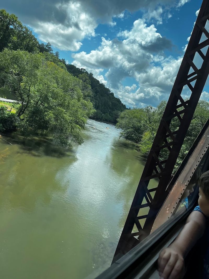 This Historic Train Ride The Blue Ridge Scenic Railway Georgia Is A 2026 Must-Do - Decor Hint Wildlife Spotting Along the Route