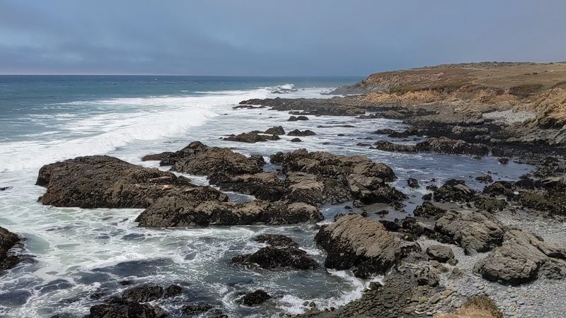 Whale Watching Season Brings Majestic Visitors