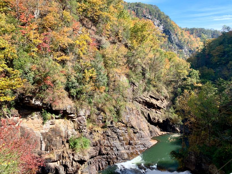 Wildflower Viewing in Spring