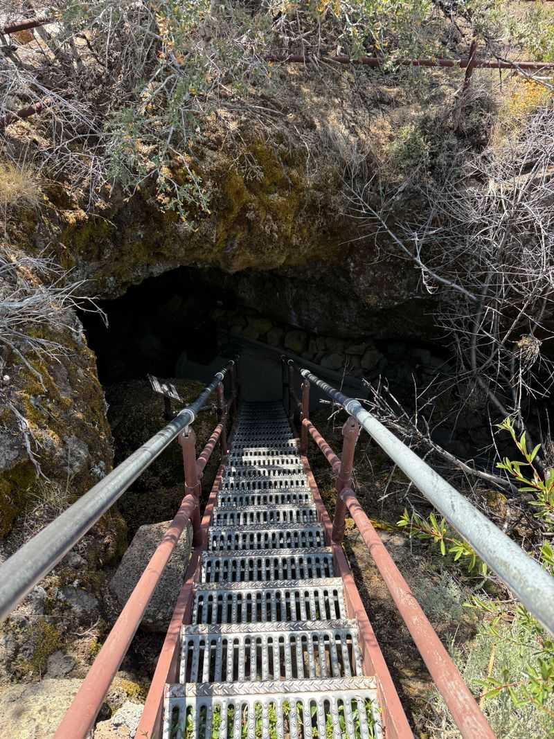 Required Permits Protect Bat Populations