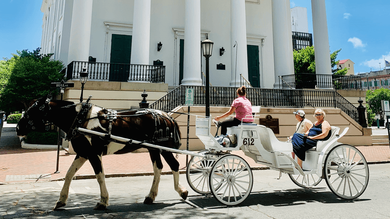 Carriage Ride Through Historic Savannah Squares